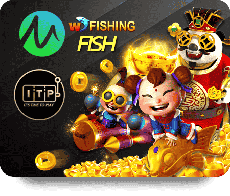 การทำงานของ Ivip9 สตรีมเมอร์ มืออาชีพ